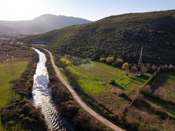 Imanje 13.000 m² sa vinogradom, Beri – Podgorica