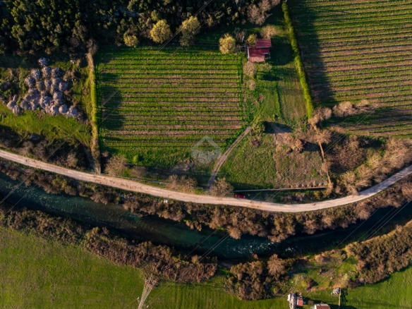 Imanje 13.000 m² sa vinogradom, Beri – Podgorica