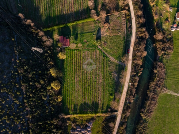 Imanje 13.000 m² sa vinogradom, Beri – Podgorica