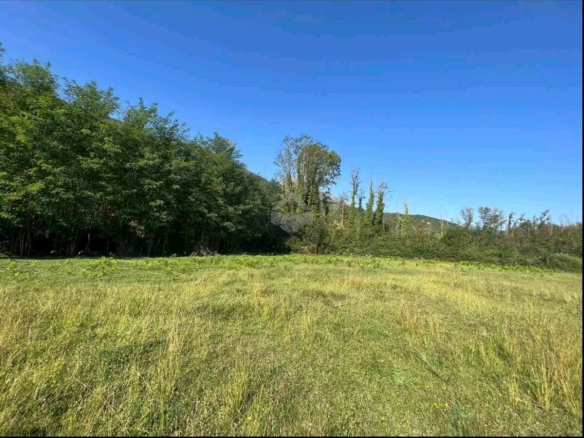 Plac 5.000 m² za gradnju kuće, Ćurilac – Danilovgrad