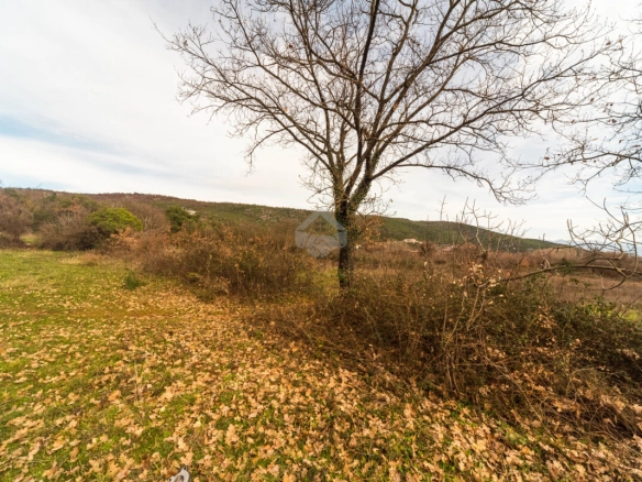 Zemljište 5.200 m², Beri – Podgorica