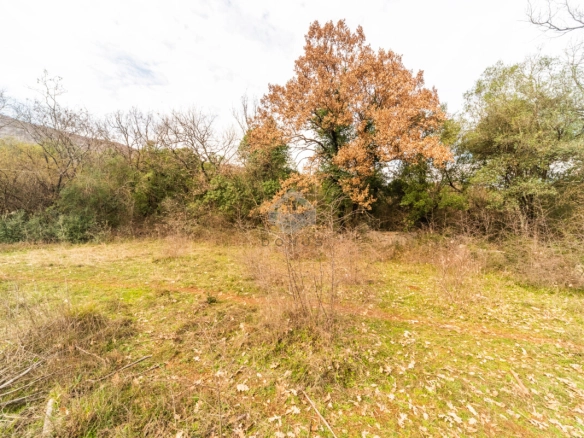 Zemljište 5.200 m², Beri – Podgorica