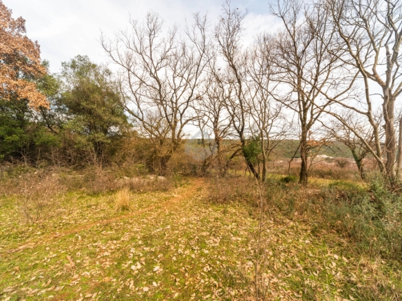 Zemljište 5.200 m², Beri – Podgorica