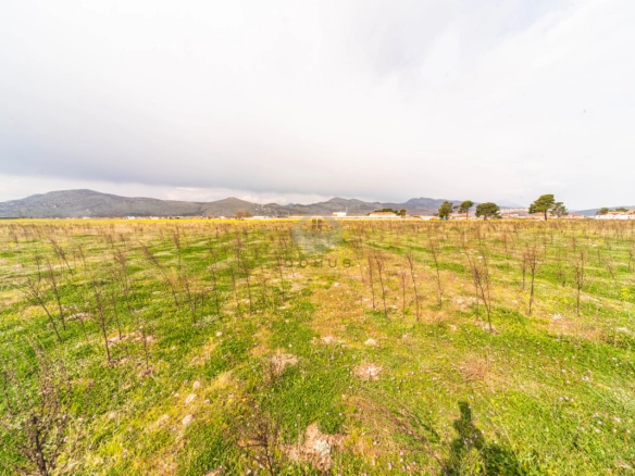 Donja Gorica – Podgorica