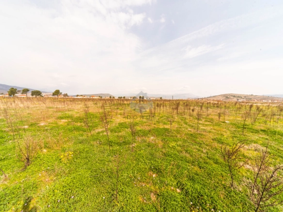 Plac 3.000 m², Donja Gorica – Podgorica