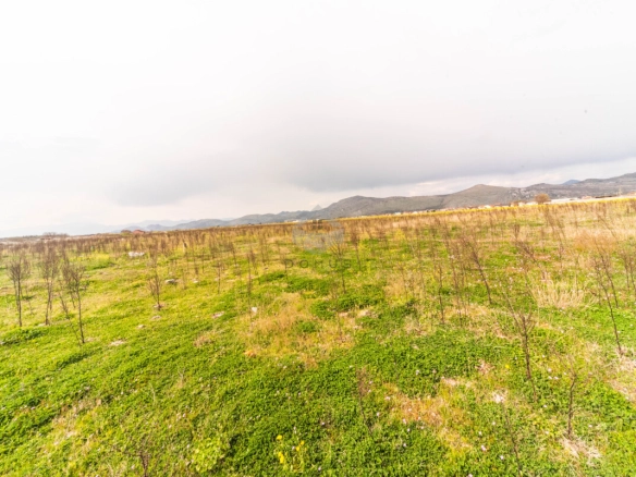 Plac 3.000 m², Donja Gorica – Podgorica