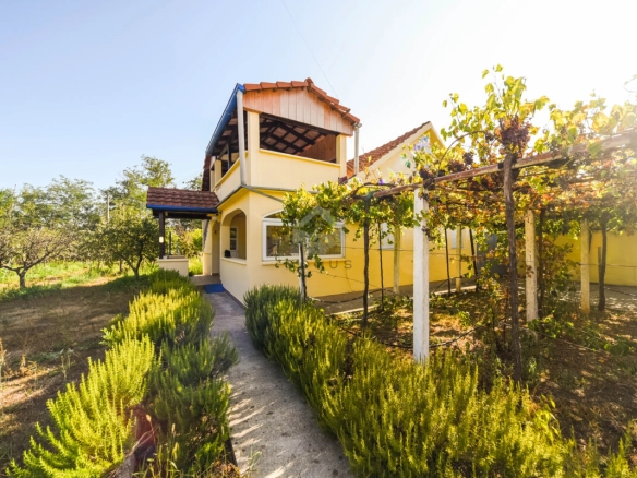 Dajbabe – Podgorica