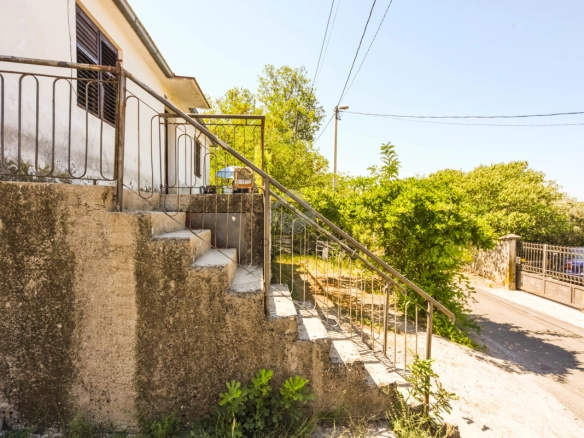 Masline – Podgorica