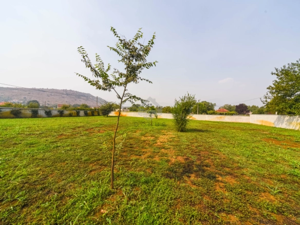 Kuća 296 m² sa bazenom na placu 3.200 m², Begovina – Danilovgrad