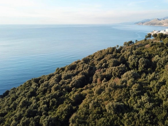 Plac 8.000 m² – Bar — fotografija 5