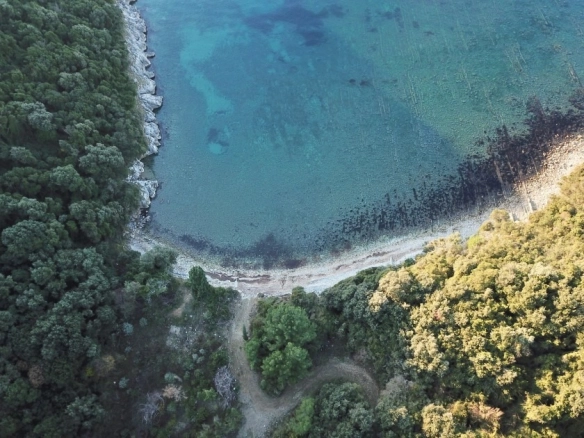 Plac 1.000 m² – Bar — fotografija 2