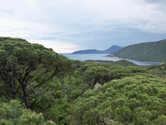 Plac sa pogledom na more u Mirištu, Herceg Novi — fotografija 6