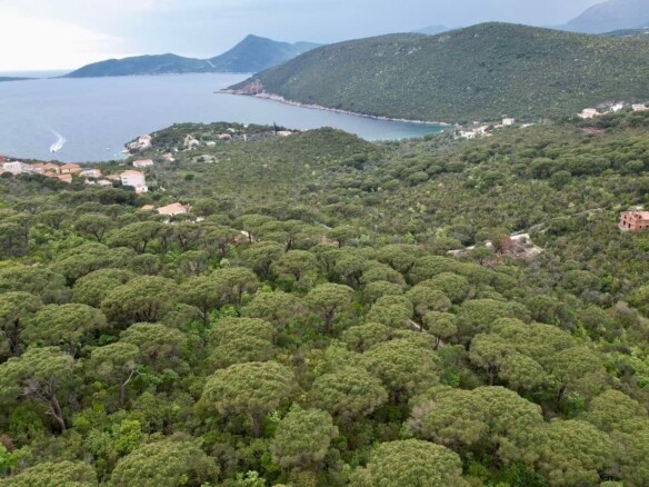 Plac sa pogledom na more u Mirištu, Herceg Novi — fotografija 7