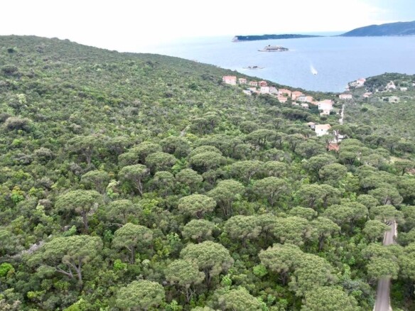 Plac sa pogledom na more u Mirištu, Herceg Novi — fotografija 9