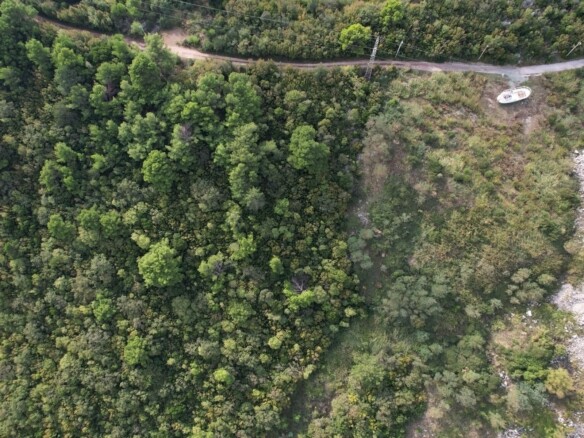 Plac 8.000 m² – Stanišići, Budva — fotografija 2