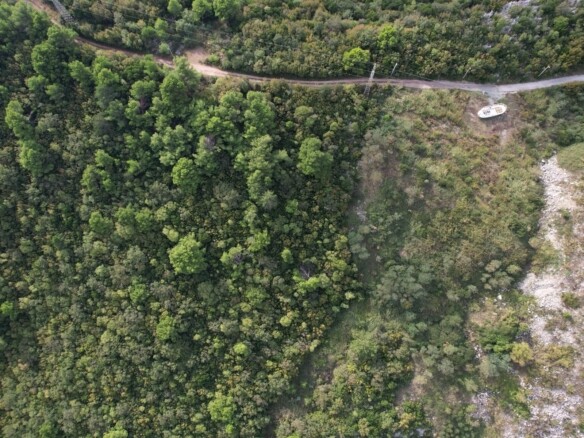Plac 8.000 m² – Stanišići, Budva — fotografija 4