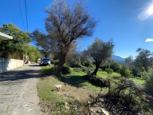 Plac sa pogledom na more u Mrčevcu, Tivat — fotografija 2
