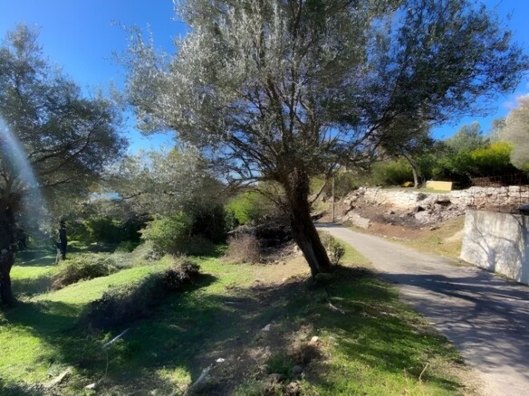 Plac sa pogledom na more u Mrčevcu, Tivat — fotografija 3