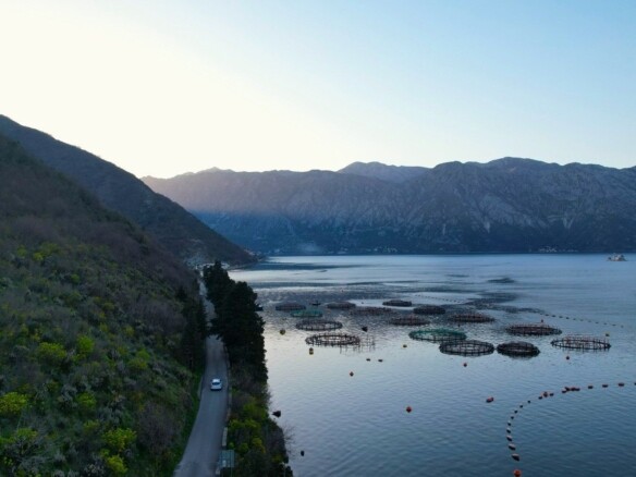 Plac na prvoj liniji do mora u Stolivu, Kotor — fotografija 3