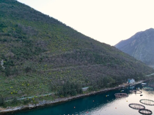 Plac na prvoj liniji do mora u Stolivu, Kotor — fotografija 6