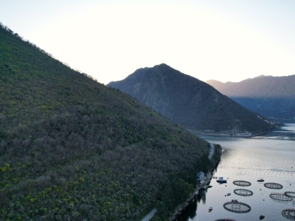 Plac na prvoj liniji do mora u Stolivu, Kotor — fotografija 9