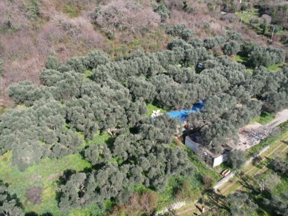 Plac 15.810 m² – Buljarica, Budva — fotografija 19