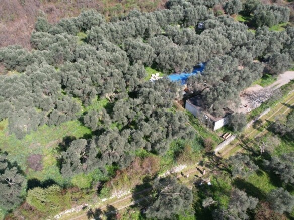 Plac 15.810 m² – Buljarica, Budva — fotografija 20