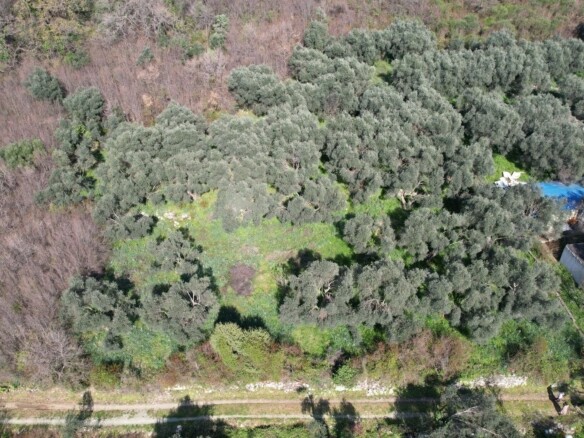 Plac 15.810 m² – Buljarica, Budva — fotografija 21