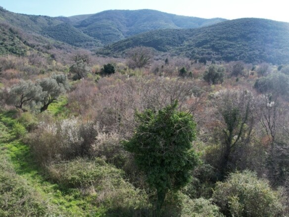 Plac 40.000 m² – Buljarica, Budva — fotografija 11