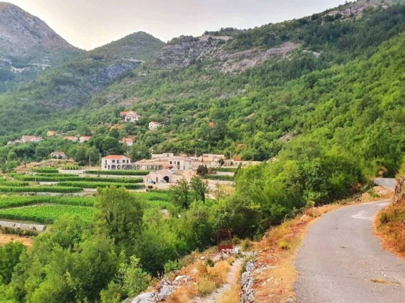 Plac 4.400 m² – Cetinje — fotografija 2