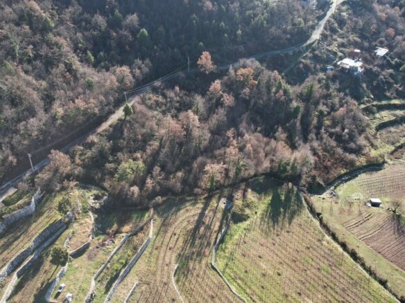 Plac 4.400 m² – Cetinje — fotografija 4