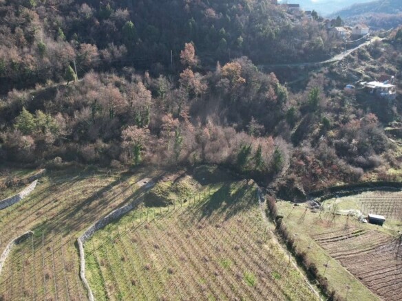Plac 4.400 m² – Cetinje — fotografija 15