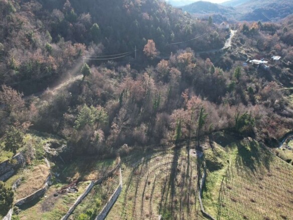 Plac 4.400 m² – Cetinje — fotografija 16