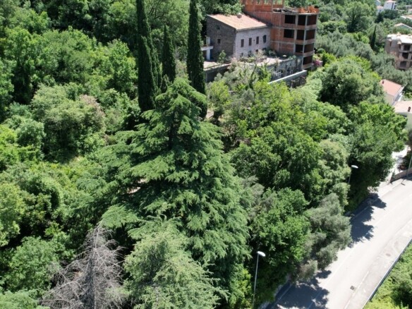Mini zgrada sa pogledom na more u Petrovcu, Budva — fotografija 10