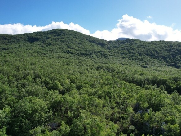 Plac 35.940 m² u mjestu Stanišići, Budva — fotografija 16