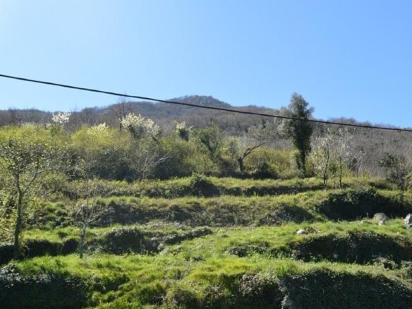 Plac 12.433 m² – Koštanjica, Kotor — fotografija 8