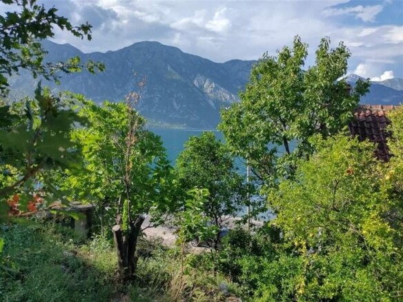 Plac 12.433 m² – Koštanjica, Kotor — fotografija 14