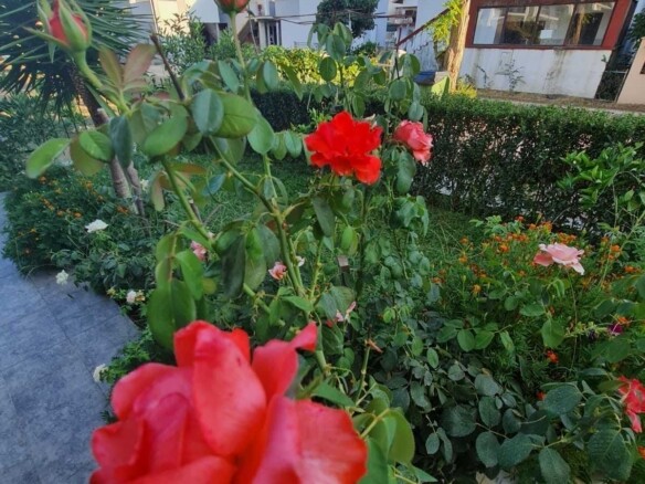 Poslovni prostor 900 m² – Donji Štoj, Ulcinj — fotografija 6