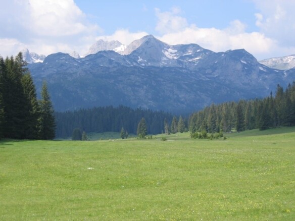 Plac na Macanskoj poljani, Žabljak — fotografija 2