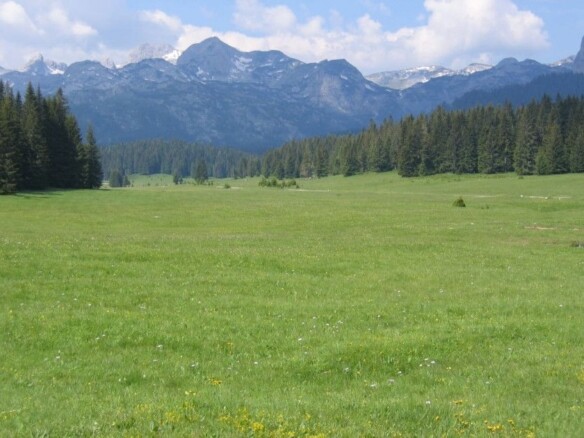 Plac na Macanskoj poljani, Žabljak — fotografija 3