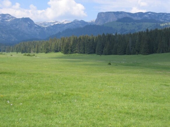 Plac na Macanskoj poljani, Žabljak — fotografija 4