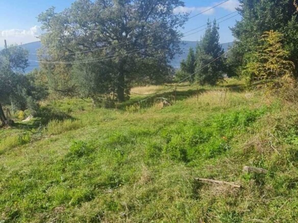 Plac sa pogledom na more u naselju Podi, Herceg Novi — fotografija 7