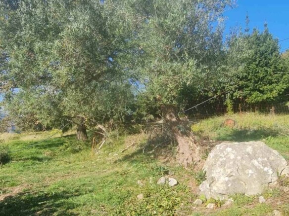 Plac sa pogledom na more u naselju Podi, Herceg Novi — fotografija 8