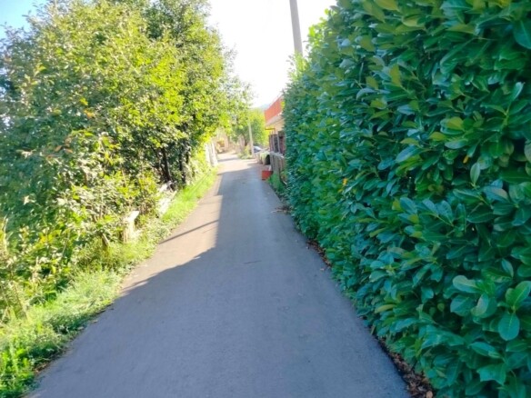 Kuća sa garažom i placem na Cetinju — fotografija 18