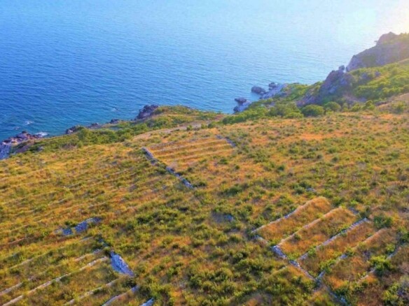 Plac 8.000 m² – Reževići, Budva — fotografija 4