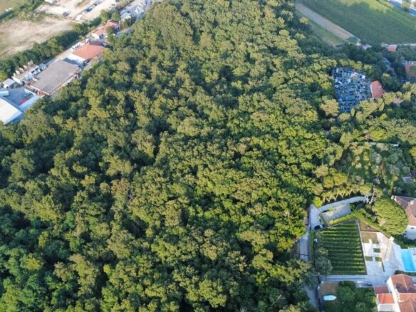 Plac u Savinskoj Dubravi, Herceg Novi — fotografija 3