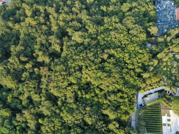 Plac u Savinskoj Dubravi, Herceg Novi — fotografija 4
