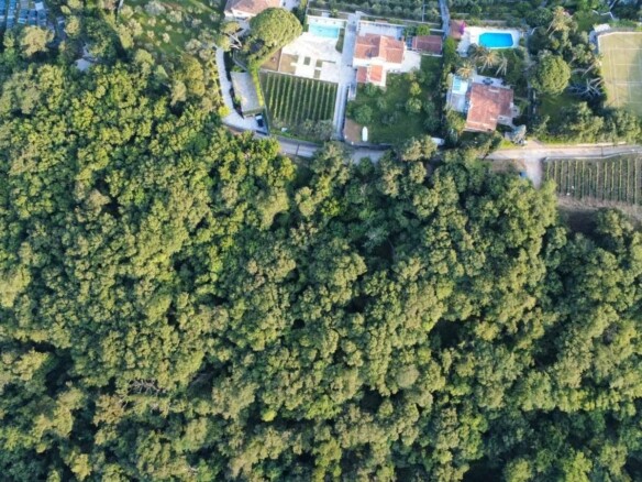 Plac u Savinskoj Dubravi, Herceg Novi — fotografija 7