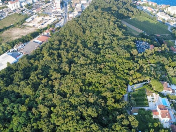Plac u Savinskoj Dubravi, Herceg Novi — fotografija 10