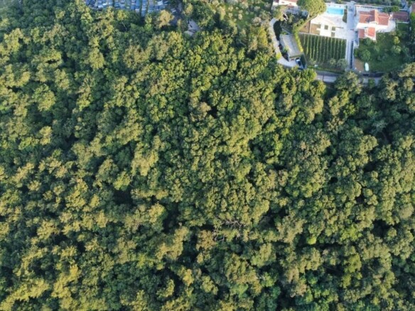 Plac u Savinskoj Dubravi, Herceg Novi — fotografija 11